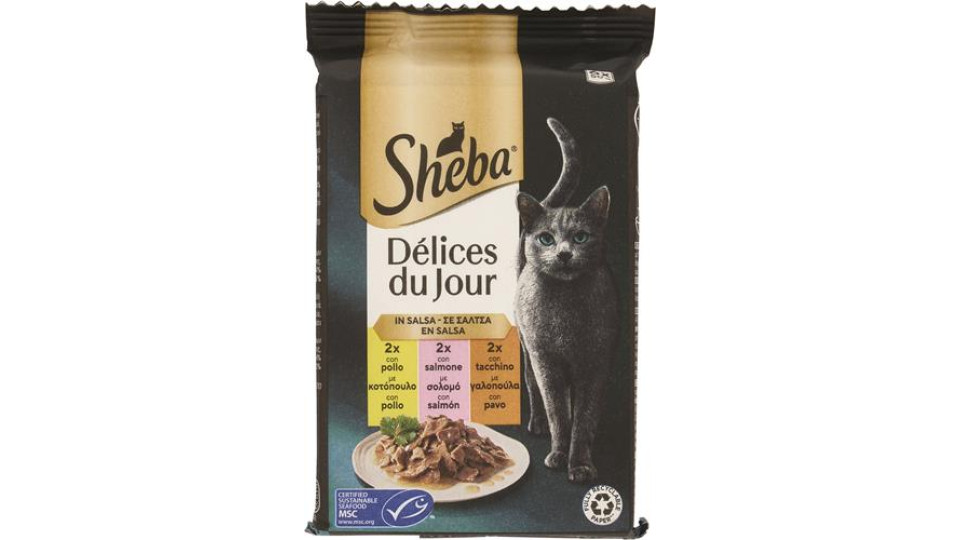 DELICE DU JOUR POLLO SALMONE TACCHINO SALSA 6X50G