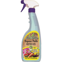 SAPONE MOLLE CORROBORANTE 500ML