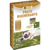 CDS PRATO RIGENERANTE 1KG
