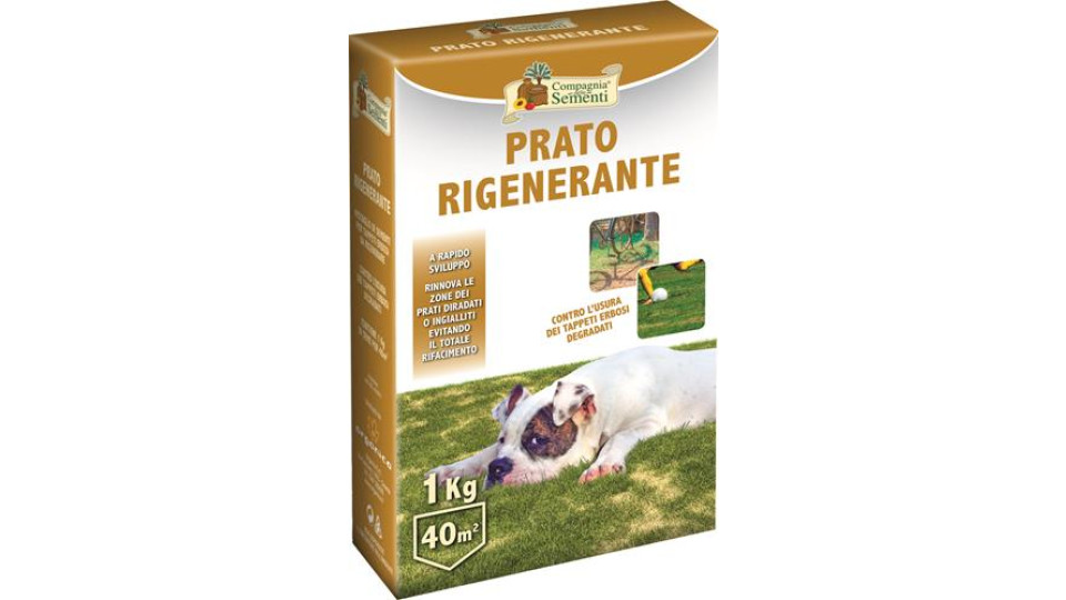 CDS PRATO RIGENERANTE 1KG