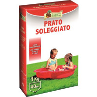 PRATO SOLEGGIATO