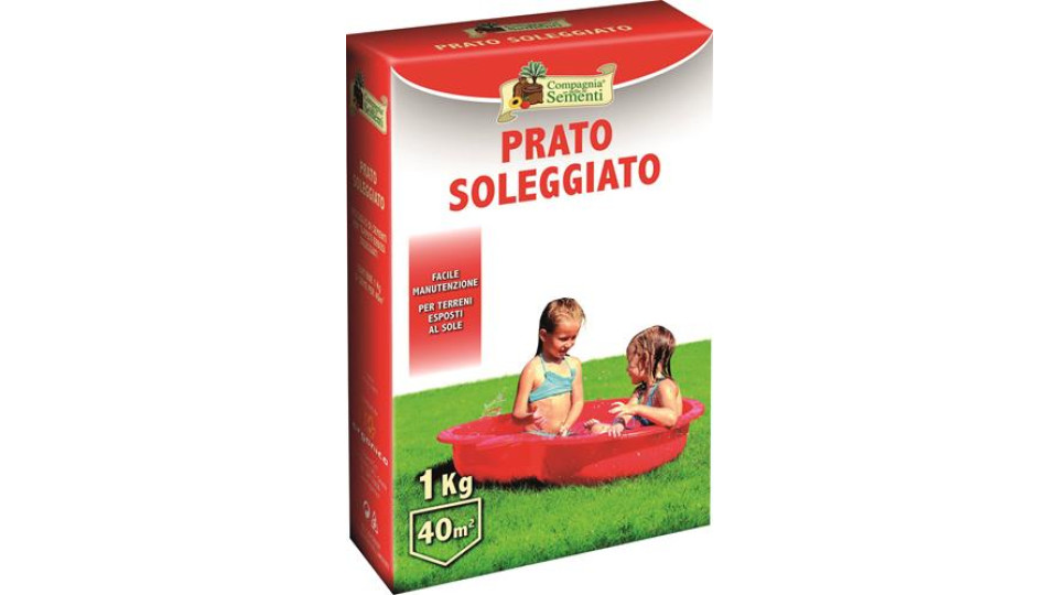 PRATO SOLEGGIATO