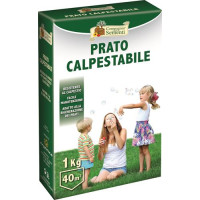 PRATO CALPESTABILE