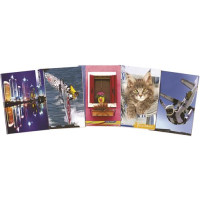 CONFEZIONE 5 MAXI QUADERNI 80GR FOGLI 20 A QUADRI, RIGO 10MM