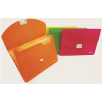 CATALOGATORE A4 CON 13 TASCHE