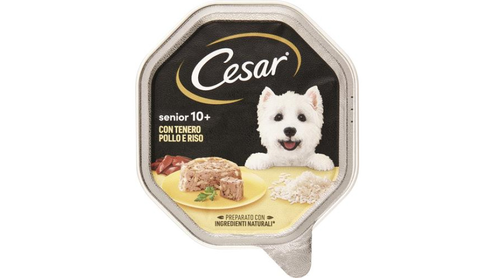 Cesar vaschetta senior pollo riso