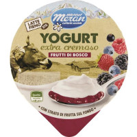 YOGURT LATTE E FIENO FRUTTI BOSCO