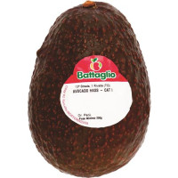 Avocado Verde