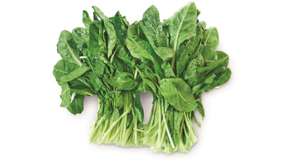 Erbette