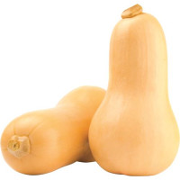 Zucca Butternut