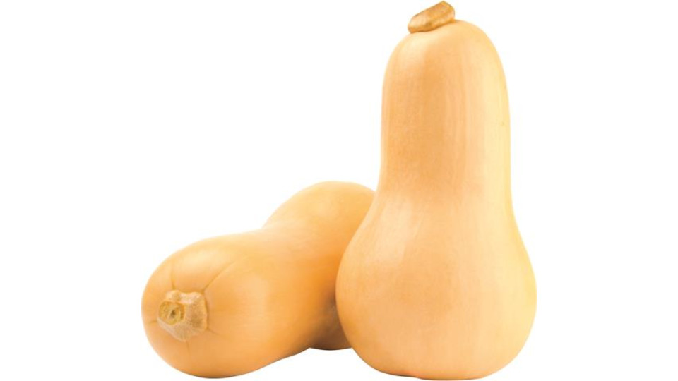 Zucca Butternut