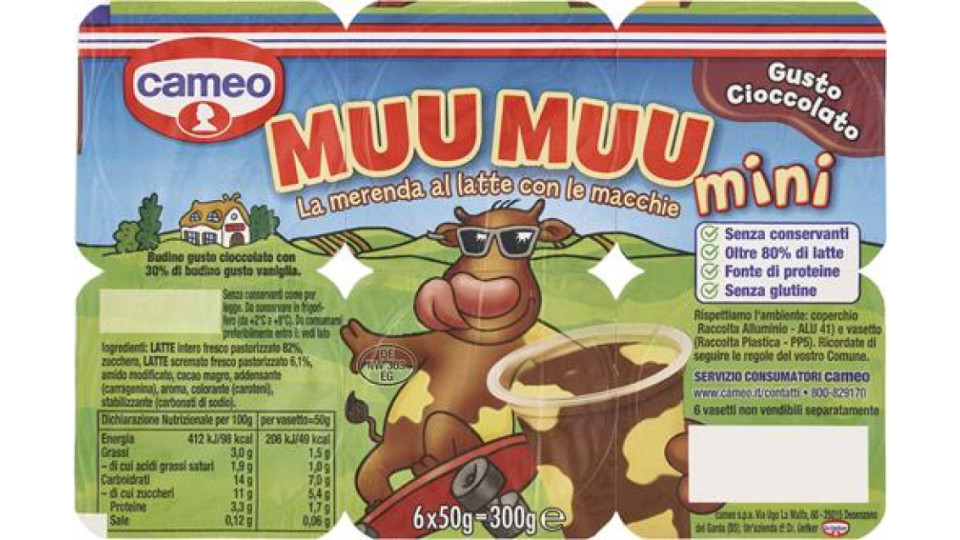 BUDINO AL CIOCCOLATO