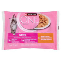 CAT JUNIOR CON POLLO E CAROTE