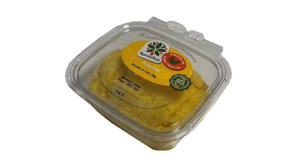 ANANAS A FETTE IN SUCCO