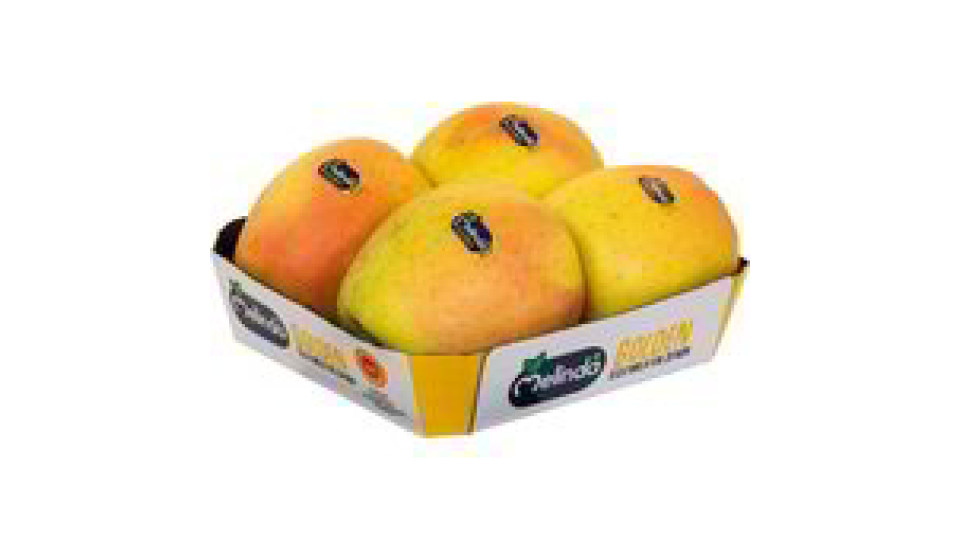 MELE GOLDEN DELICIOUS D.O.P.