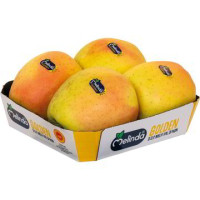 MELE GOLDEN DELICIOUS D.O.P.