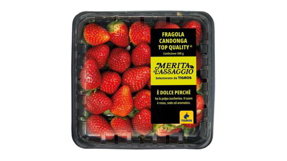 FRAGOLE CANDONGA