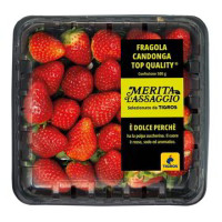 FRAGOLE CANDONGA