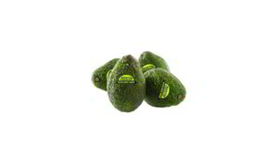 AVOCADO HASS
