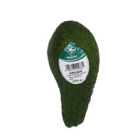 AVOCADO VERDE