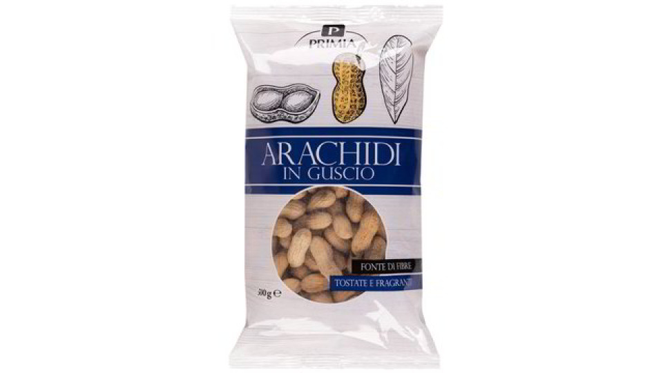 ARACHIDI IN GUSCIO