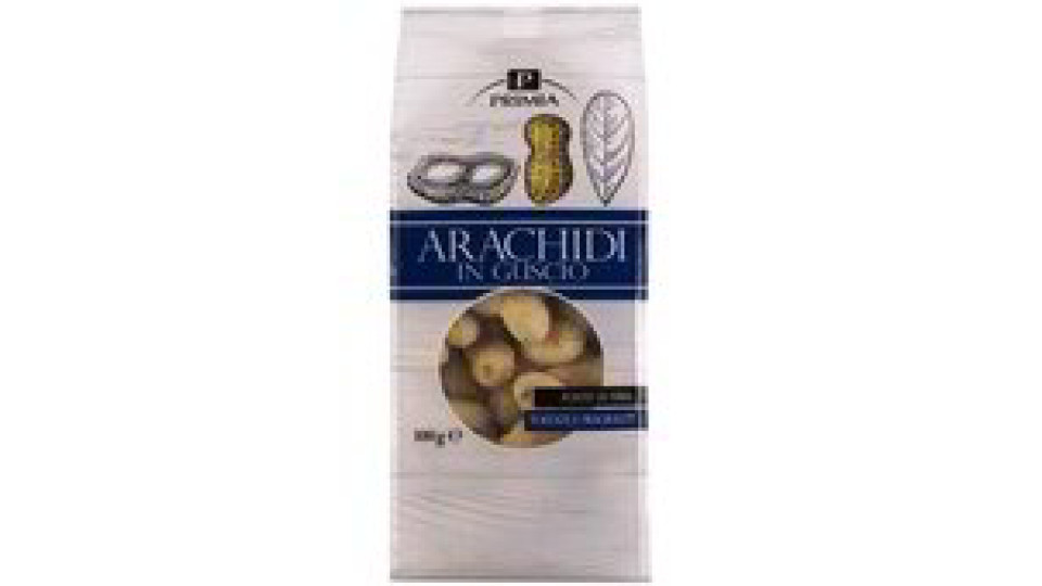 ARACHIDI IN GUSCIO