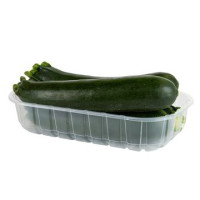ZUCCHINE VERDI