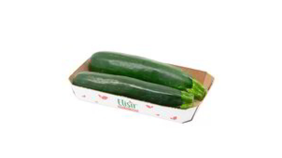 ZUCCHINE VERDI