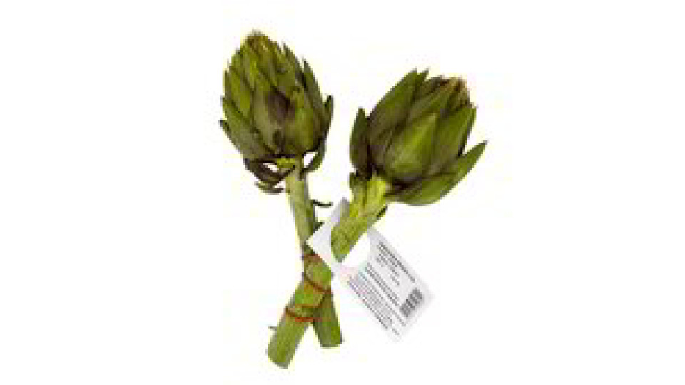 CARCIOFI SPINA
