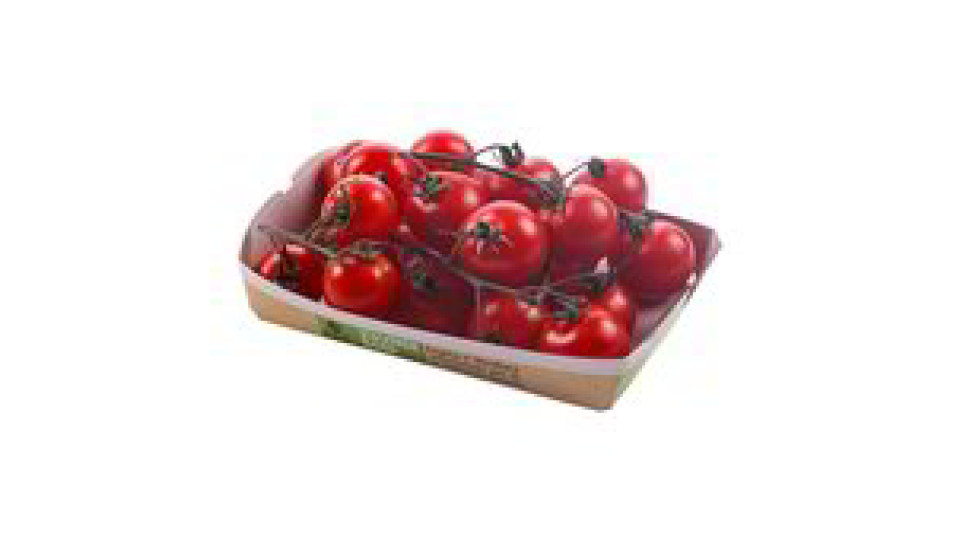 POMODORO CILIEGINO