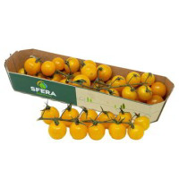 POMODORO CILIEGINO GIALLO