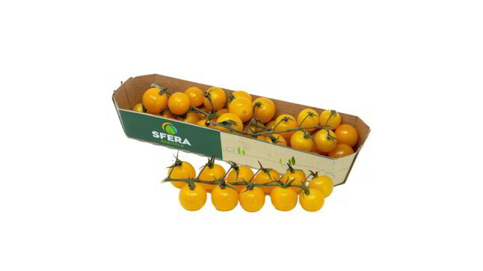POMODORO CILIEGINO GIALLO
