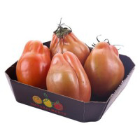 POMODORO CUORE DI BUE