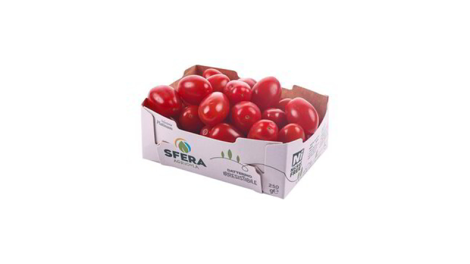 POMODORO DATTERINO ROSSO