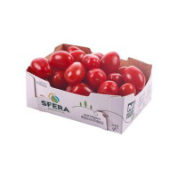 POMODORO DATTERINO ROSSO
