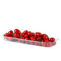 POMODORO DATTERINO ROSSO