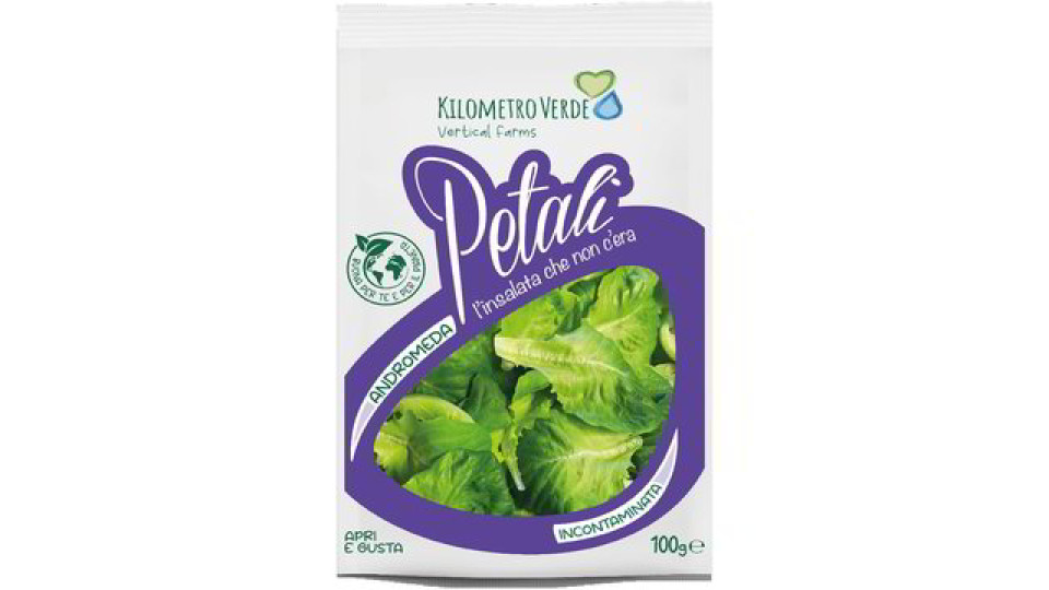 LATTUGA VERDE ANDROMEDA