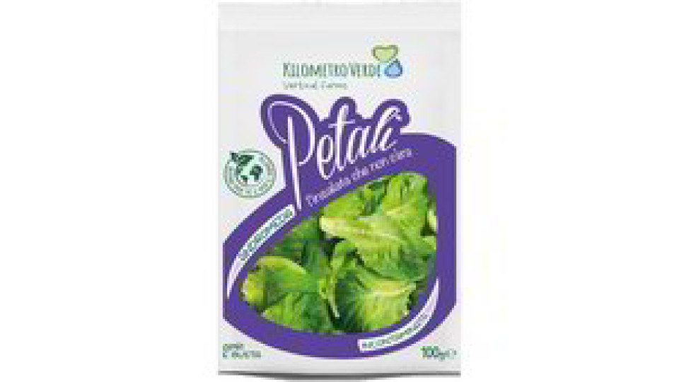 LATTUGA VERDE ANDROMEDA