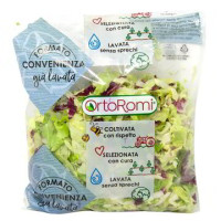 DUETTO JULIENNE