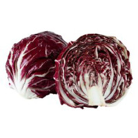 RADICCHIO ROSSO TONDO