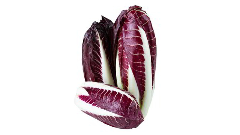 RADICCHIO ROSSO LUNGO
