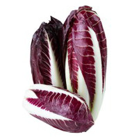RADICCHIO ROSSO LUNGO