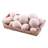FUNGHI CHAMPIGNON SGAMBATO