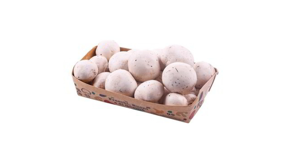 FUNGHI CHAMPIGNON SGAMBATO