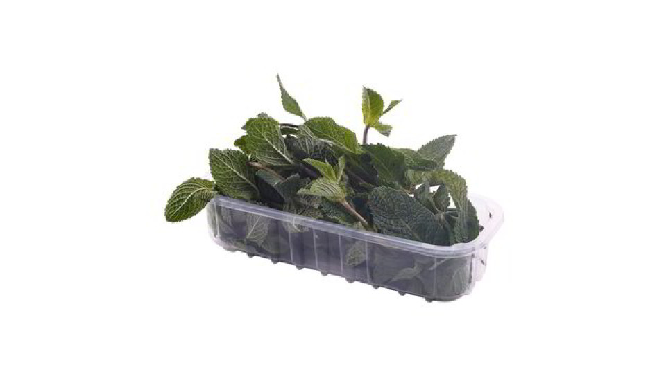 MENTA