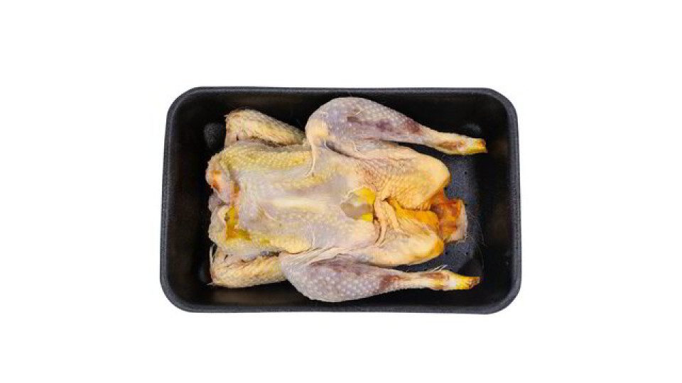 GALLINA EVISCERATA