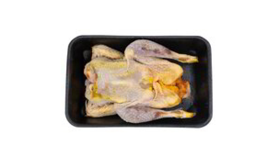 GALLINA EVISCERATA