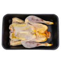 GALLINA EVISCERATA