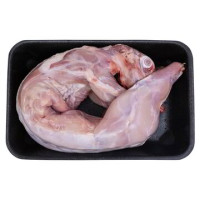 CONIGLIO ITALIANO INTERO