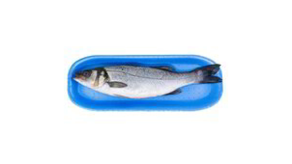 BRANZINO PULITO